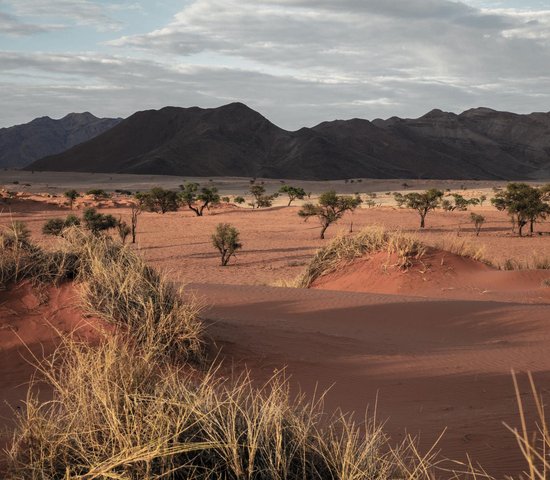 Desert Namibie