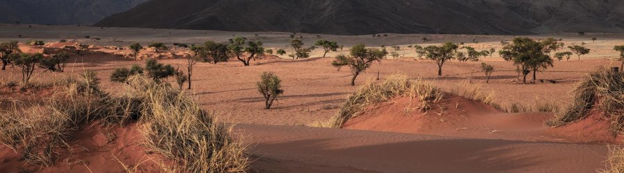 Desert Namibie