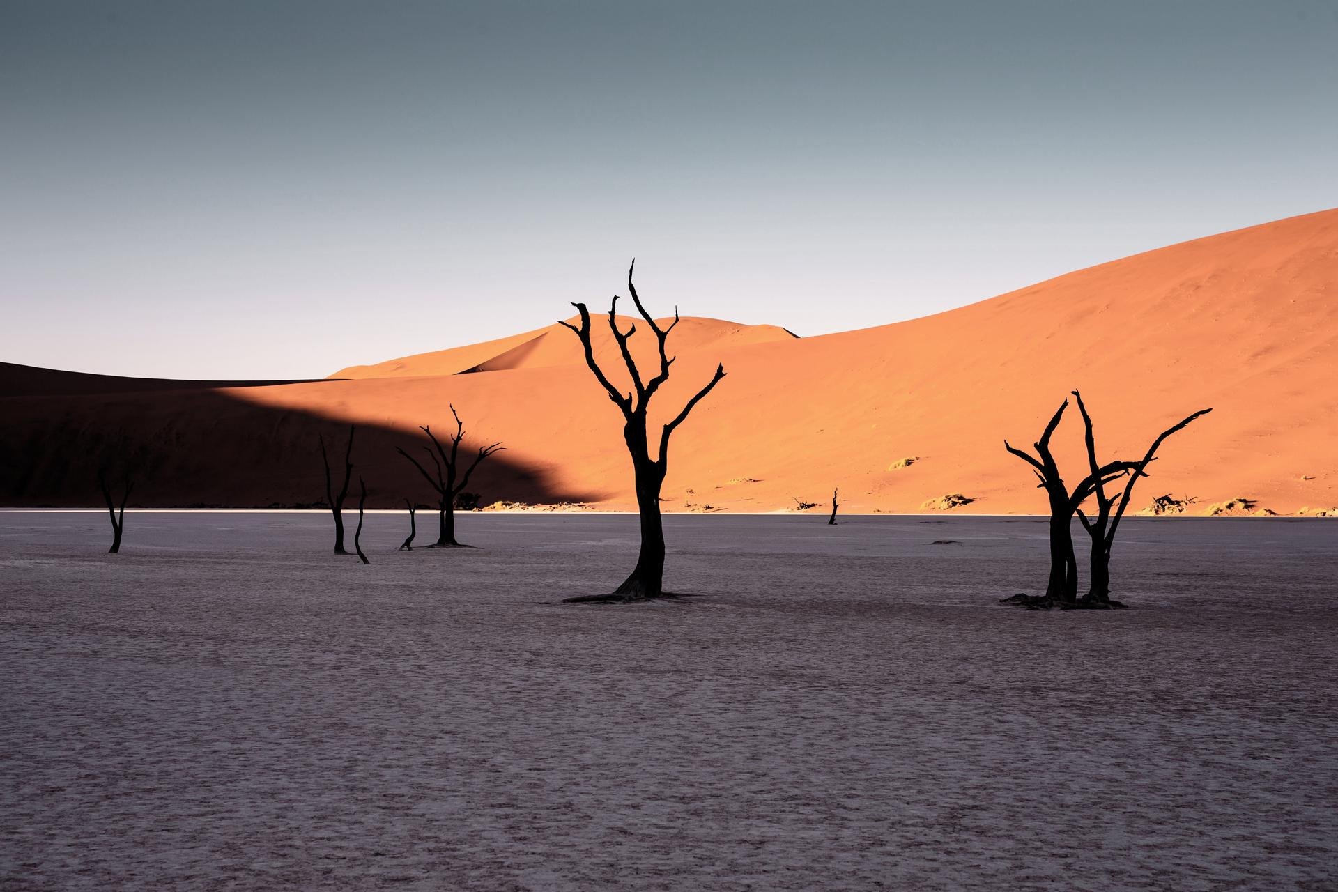 Desert Namibie