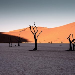 Desert Namibie