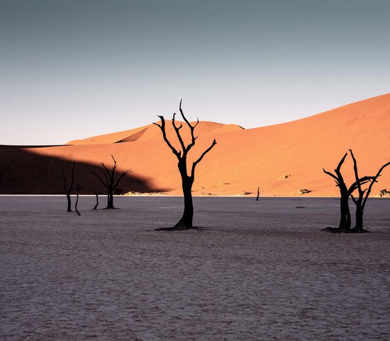 Desert Namibie