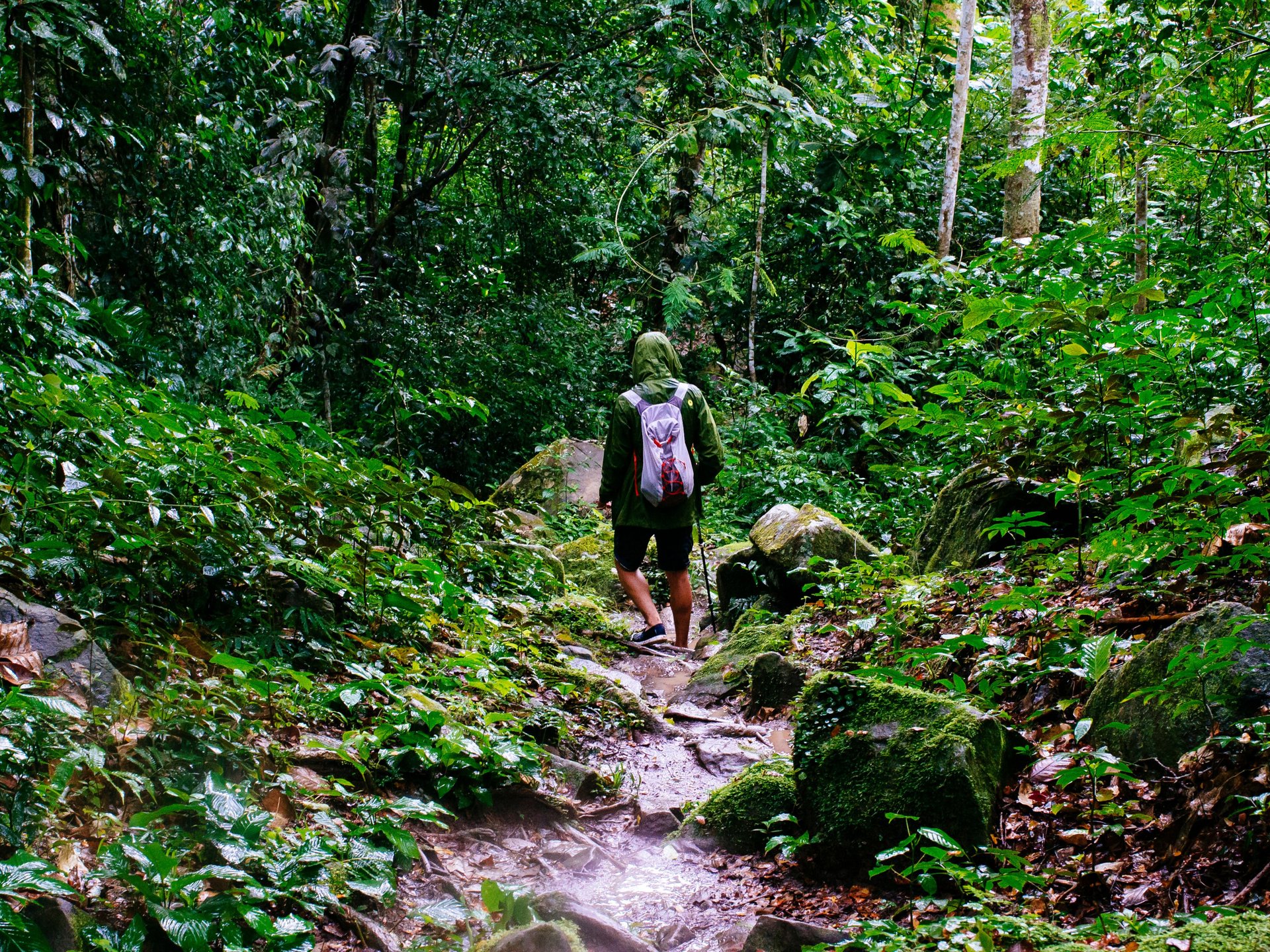 ecotourisme pérou