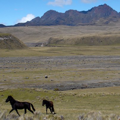 env cotopaxi 972 505