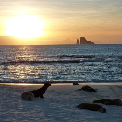 equateur galapagos