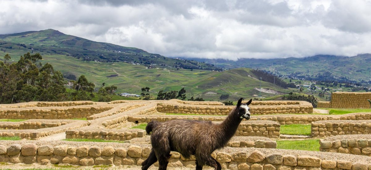 equateur ingapirca