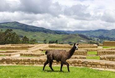 equateur ingapirca