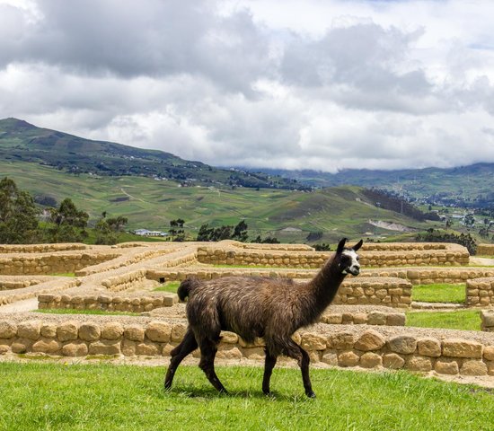 equateur ingapirca