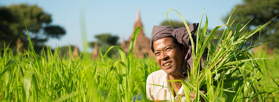 Fermier de Birmanie