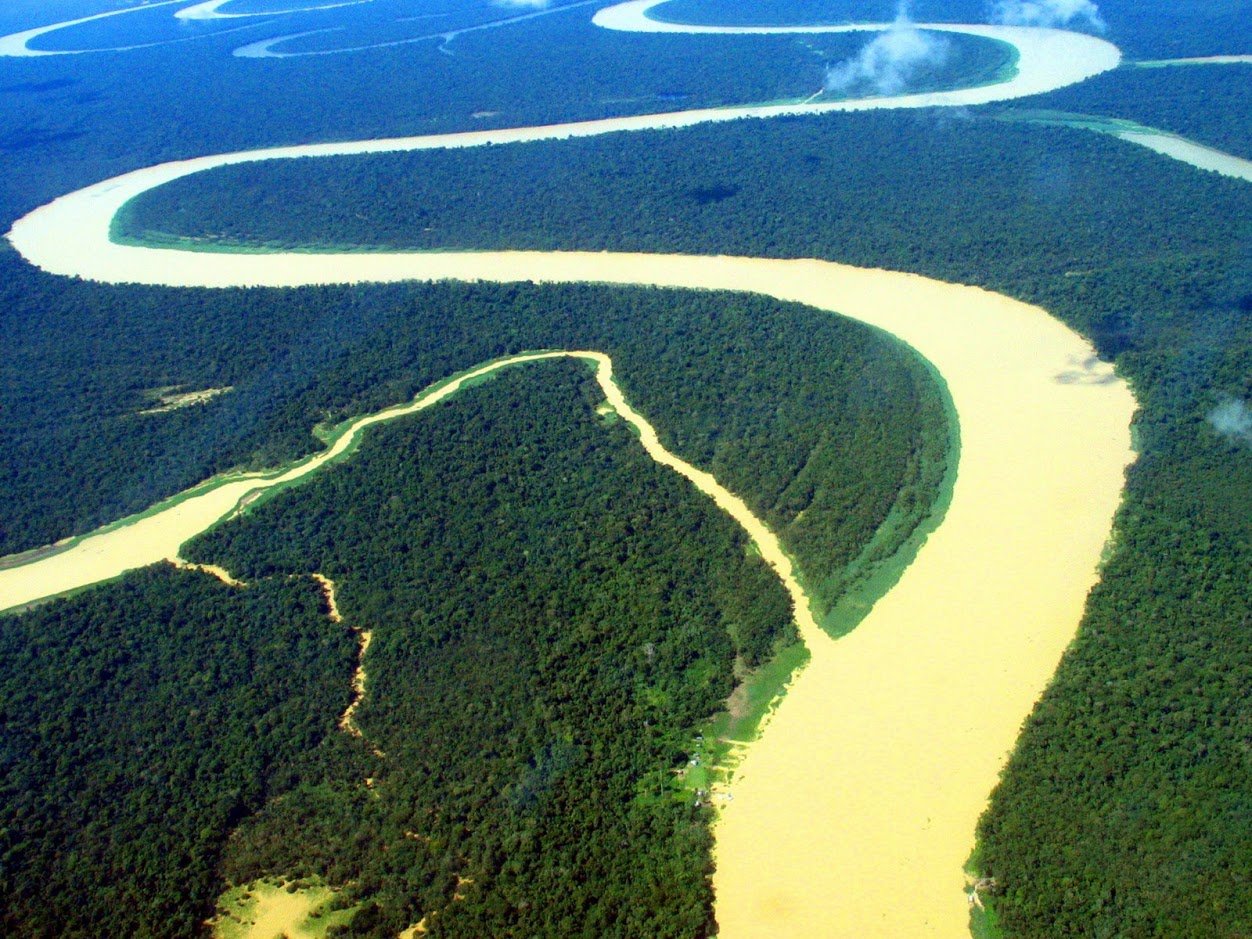 foret amazonie