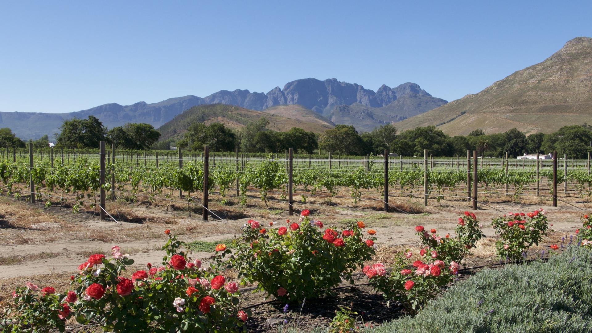 Franschhoek