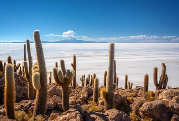 Grand tour de la Bolivie des andes à la jungle