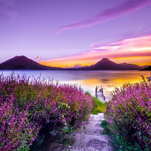 Paysage violet sur le lac Atitlan au Guatemala
