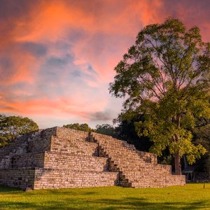 Les ruines de Copan au Honduras