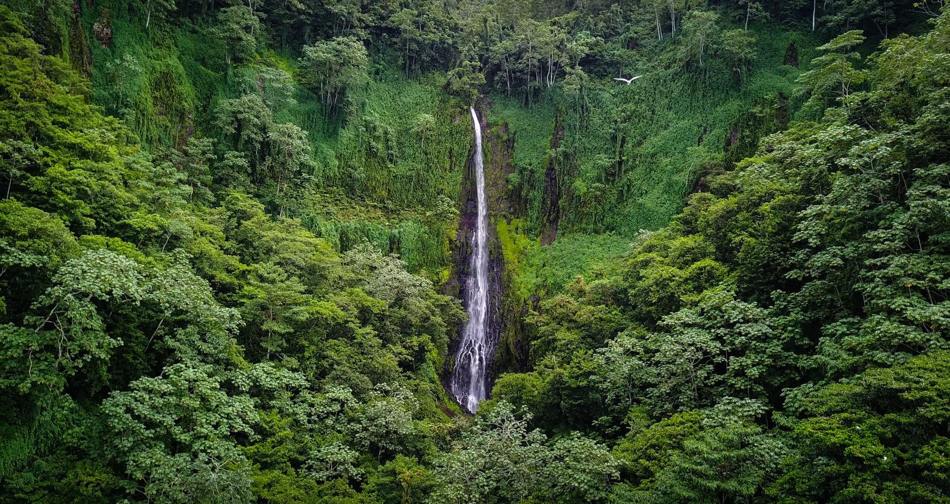 Île Cocos   Costa Rica