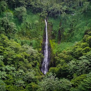 Île Cocos   Costa Rica