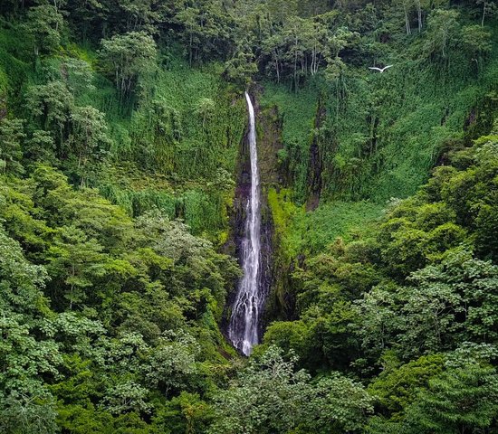 Île Cocos   Costa Rica