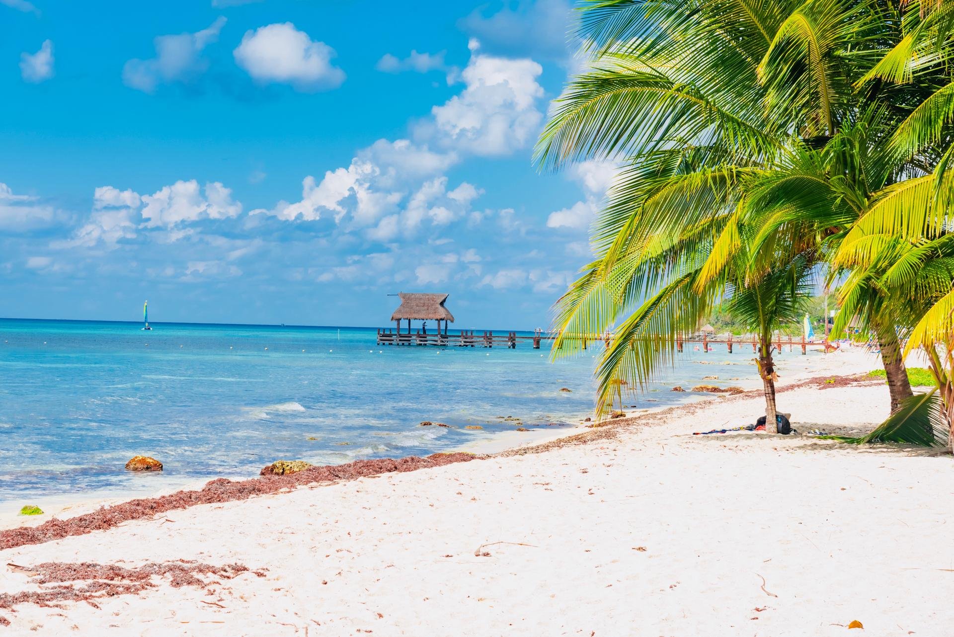 Île de Cozumel   Mexique