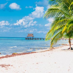 Île de Cozumel   Mexique