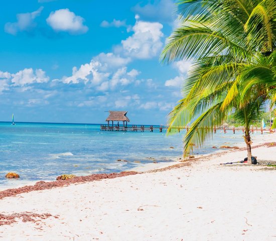 Île de Cozumel   Mexique