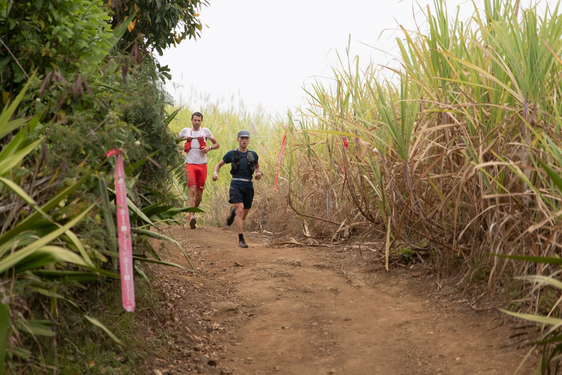 Coureurs au Grand Raid de la Réunion