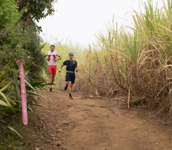 Coureurs au Grand Raid de la Réunion