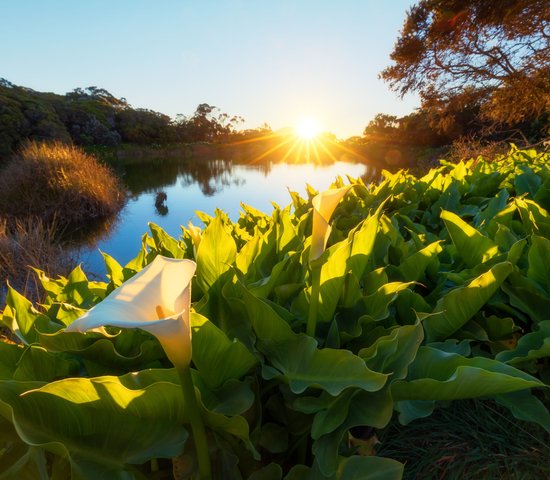 Coucher de soleil à Piton de l'Eau dans l'île de la Réunion
