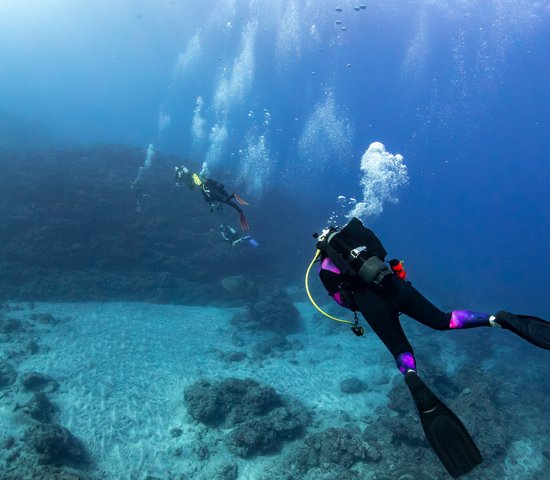 Plongeurs et fond marin de l'île de la Réunion