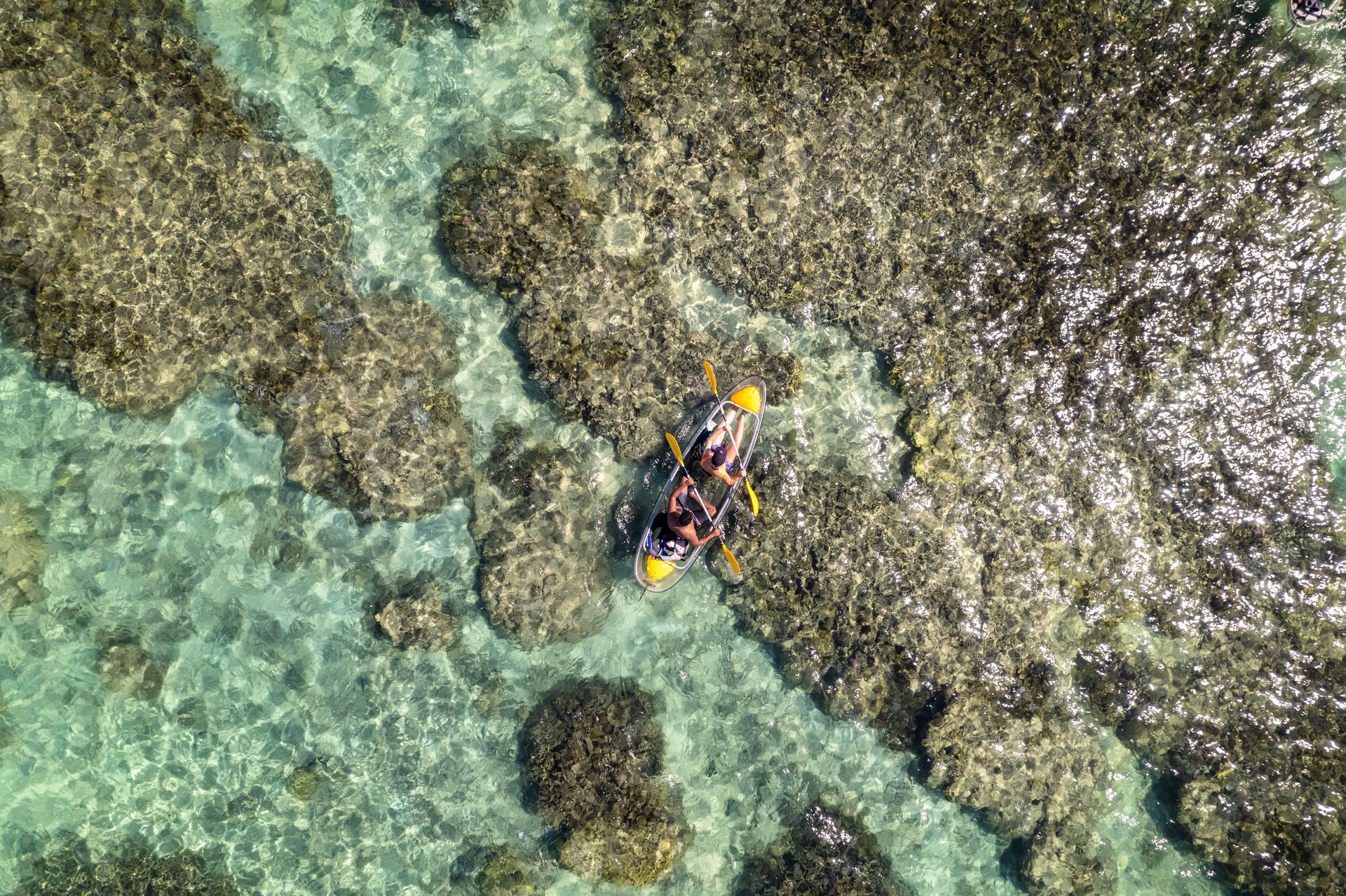 Kayak à Saint Gilles, île de la Réunion