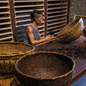 Une femme trie les gousses de vanille lors du séchage à la Vanilleraie du Domaine du Grand Hazier à Sainte Suzanne sur l'île de la Réunion.