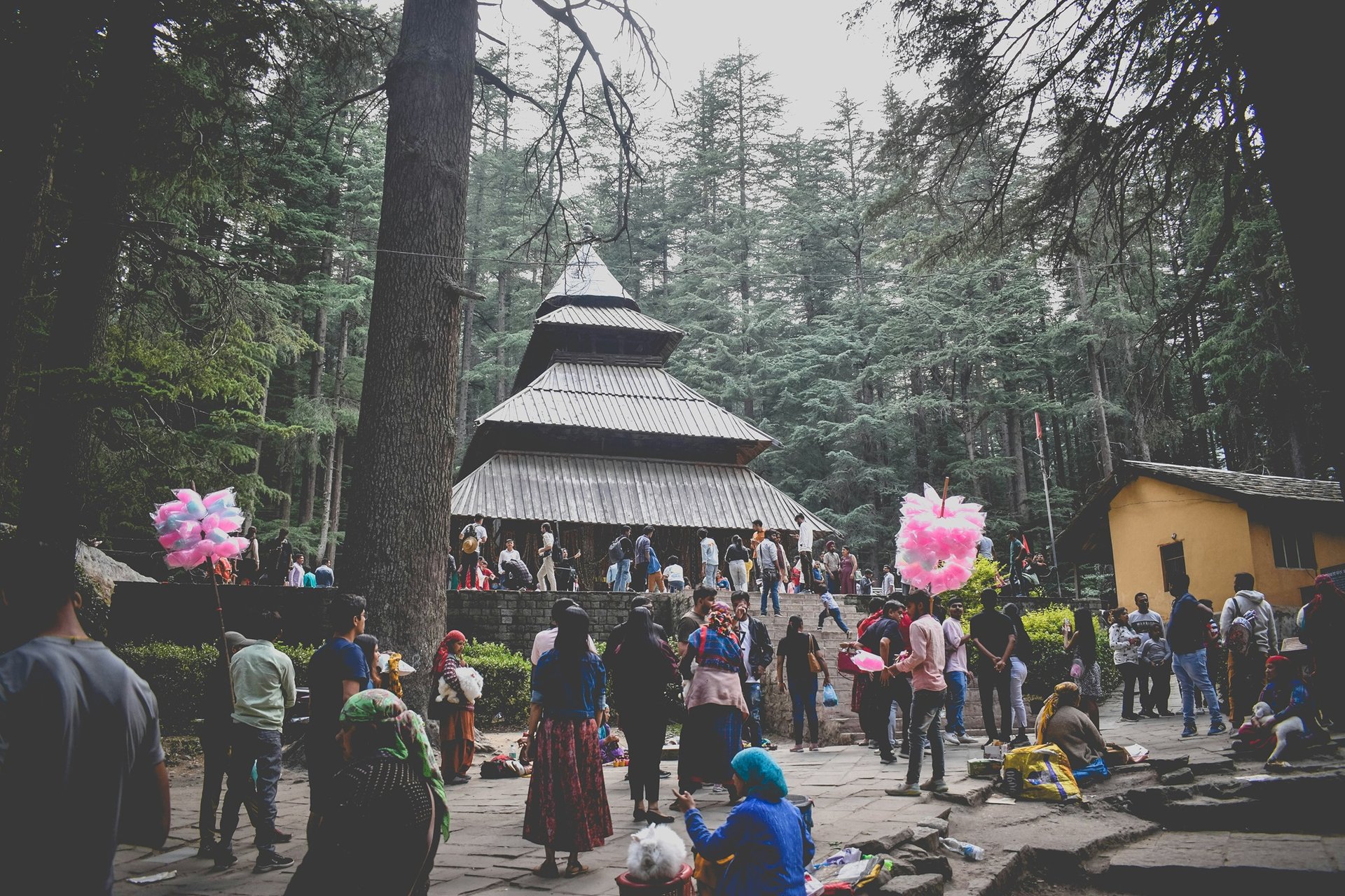 Tourisme en Inde   Hadimba Devi temple, Manali