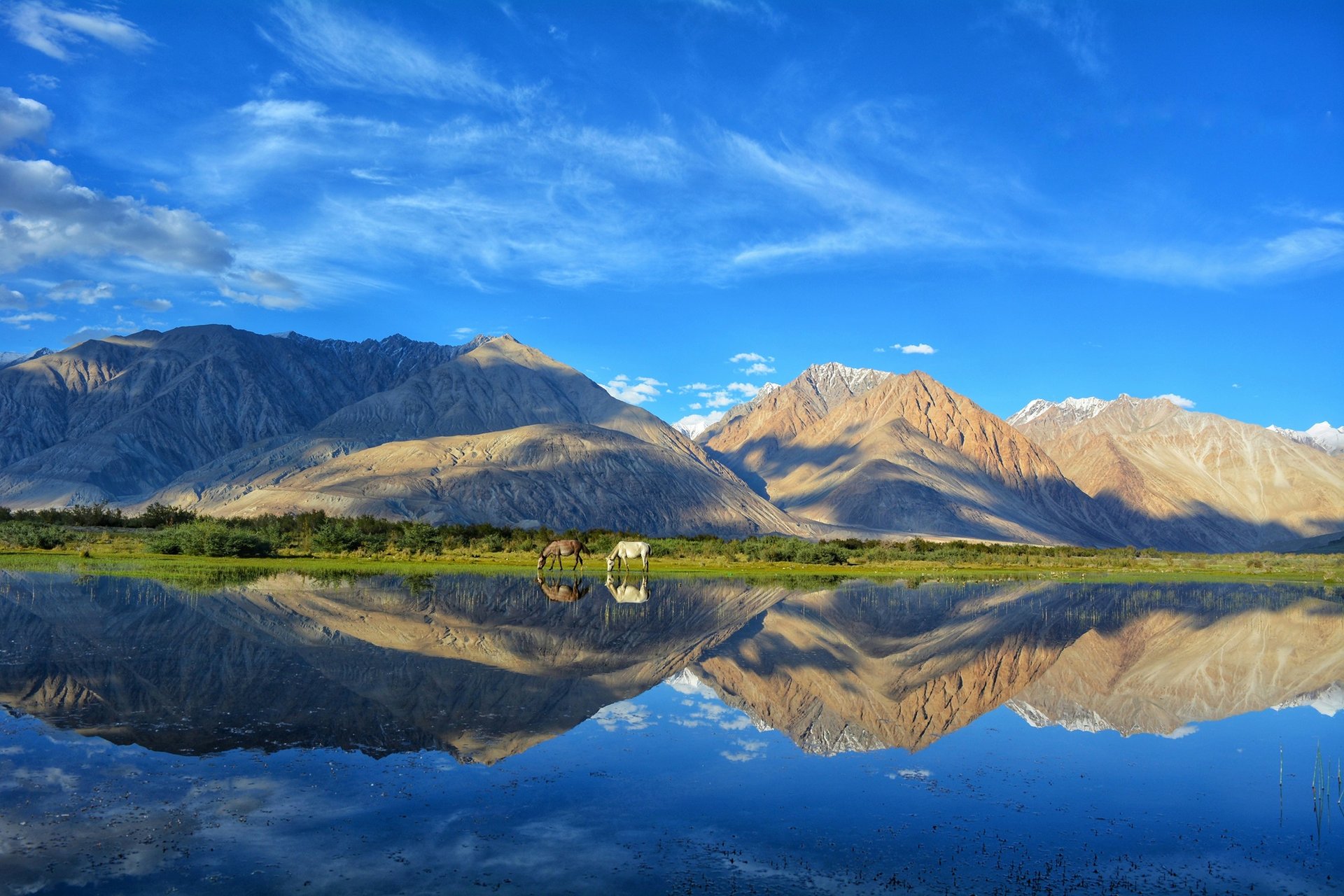 Cachemire, Inde   Leh