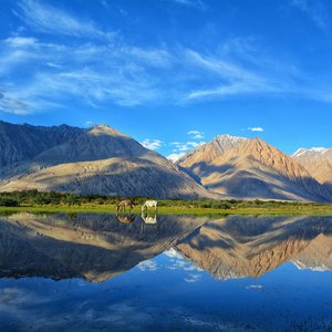 Cachemire, Inde   Leh