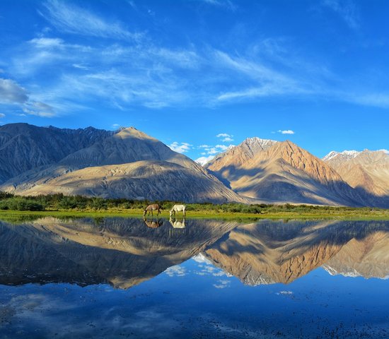 Cachemire, Inde   Leh