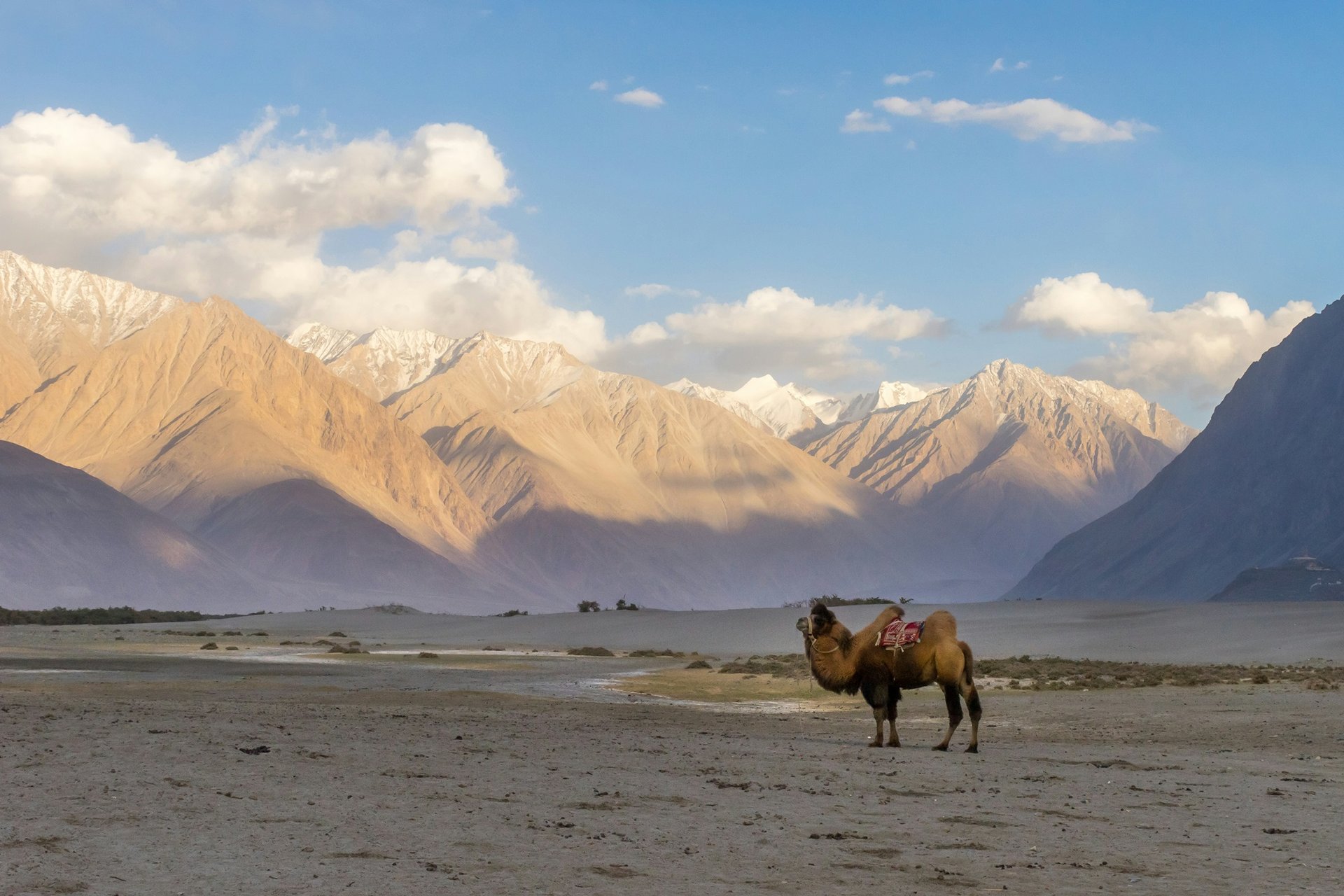 Géographie et paysages en Inde   Ladakh