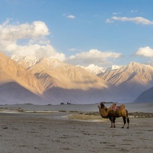 Géographie et paysages en Inde   Ladakh
