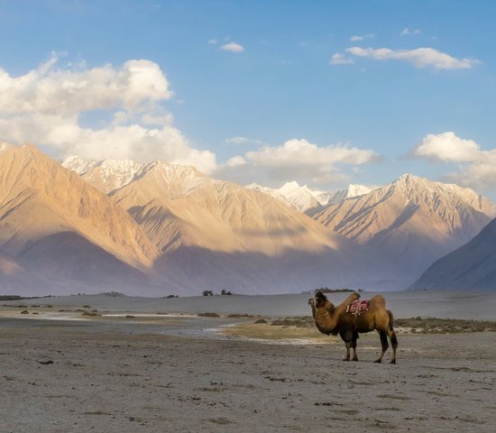Géographie et paysages en Inde   Ladakh