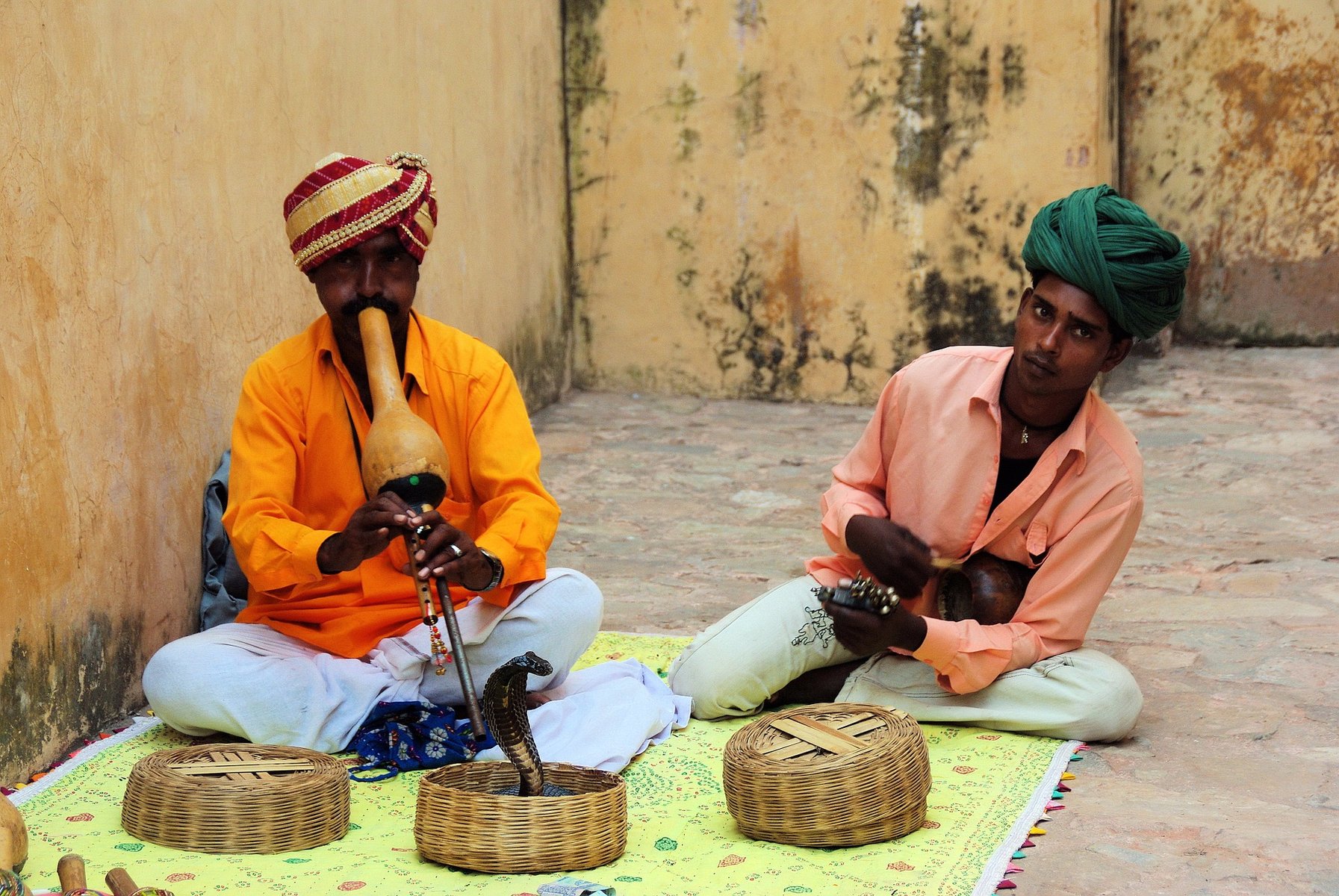 inde serpent