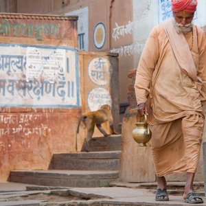 inde vieil homme