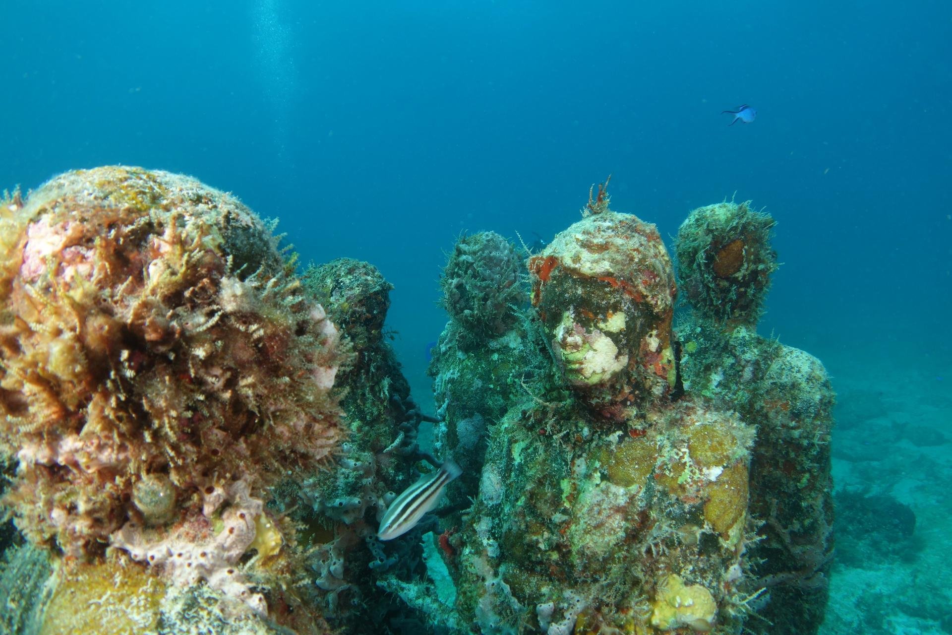 Isla Mujeres   Mexique