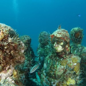 Isla Mujeres   Mexique