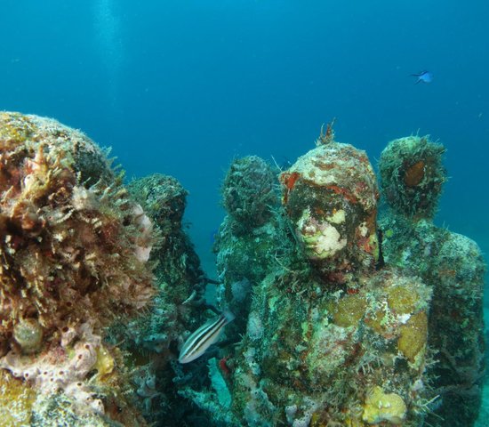 Isla Mujeres   Mexique