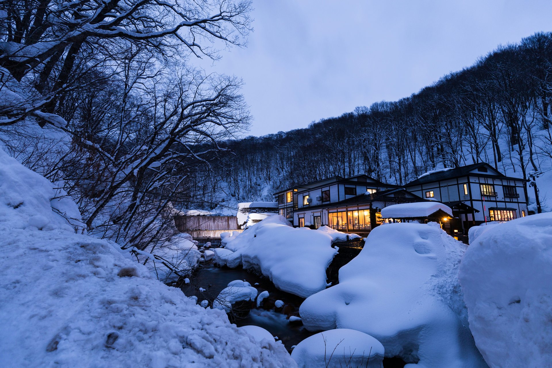 japon akita petit village enneige