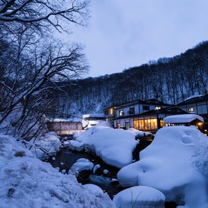 japon akita petit village enneige