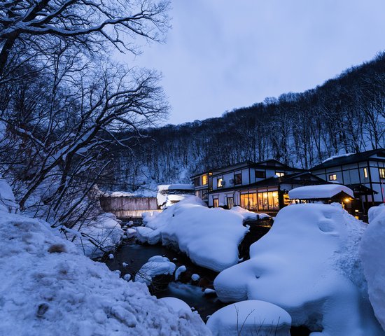 japon akita petit village enneige