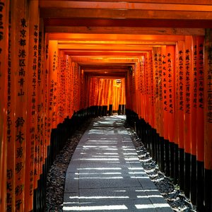 Sanctuaire de Fusihimi Inari, Kyoto, Japon