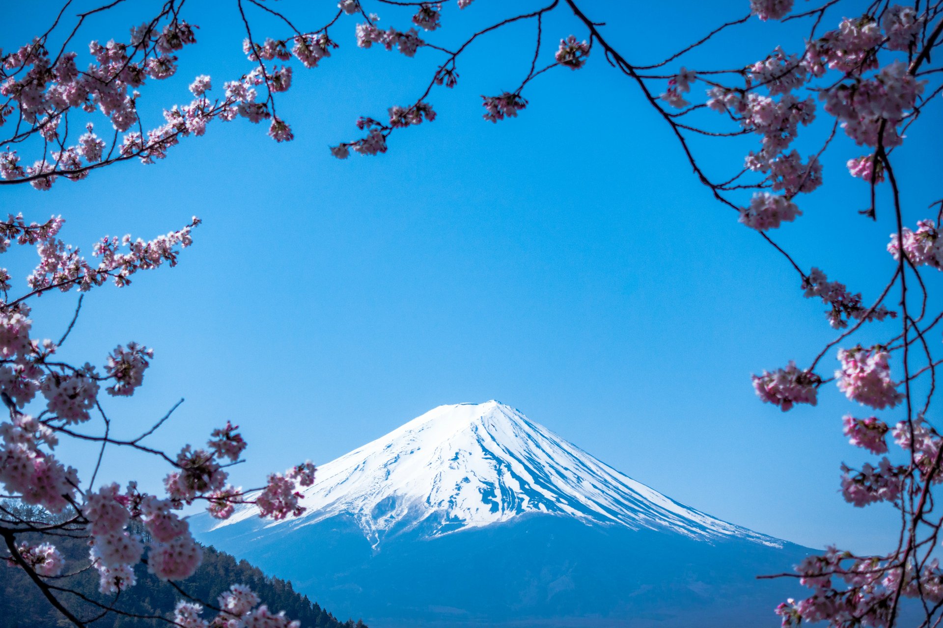 Mont Fuji au Japon