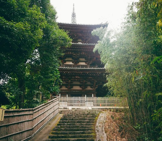 Bâtiment entouré de foret à Nara, Japon