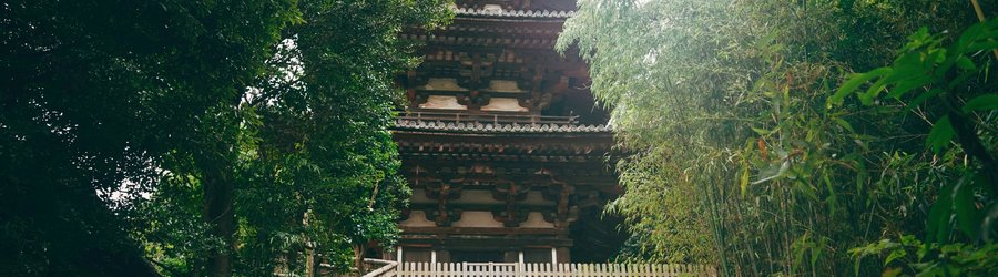 Bâtiment entouré de foret à Nara, Japon