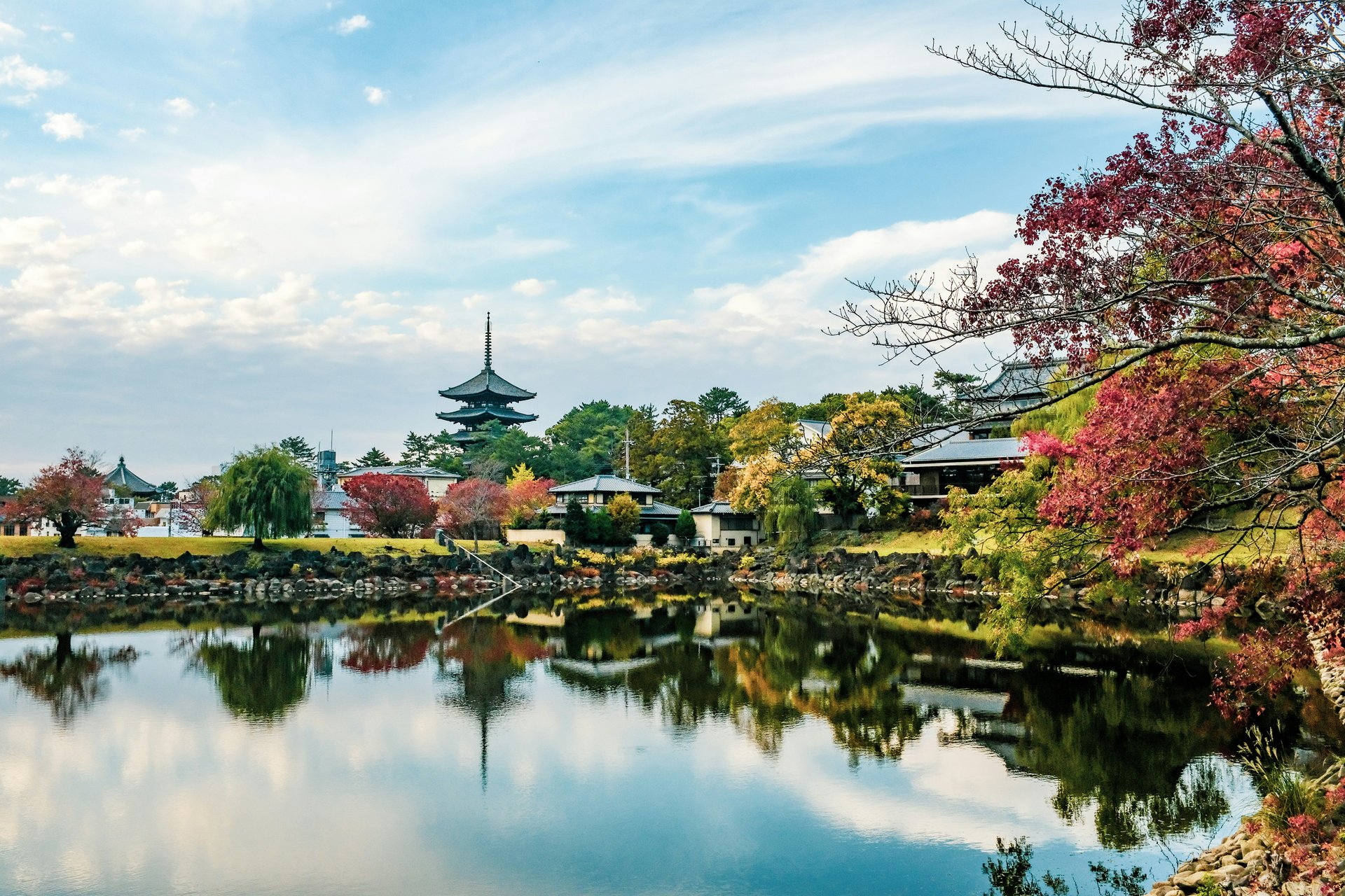 Paysage en bord d'eau avant en feuillage en premier plan à Nara, Japon