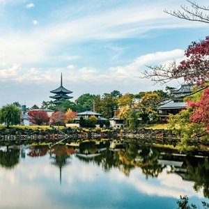 Paysage en bord d'eau avant en feuillage en premier plan à Nara, Japon